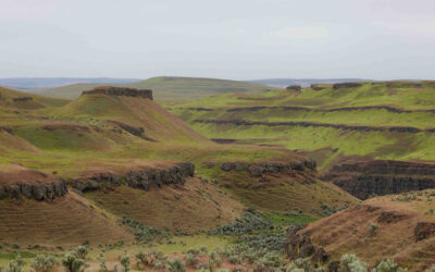 The Mae West Confession