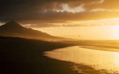 The End of Exile