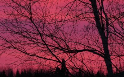 The Other Side of Pain