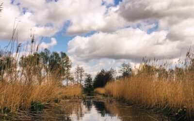 Volunteering for Death