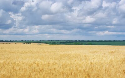 The Freedom of Choices